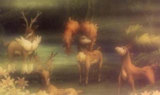 宝可梦卡怎么看价值