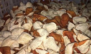 20年陈皮多少钱一斤 20年陈皮多少钱一斤